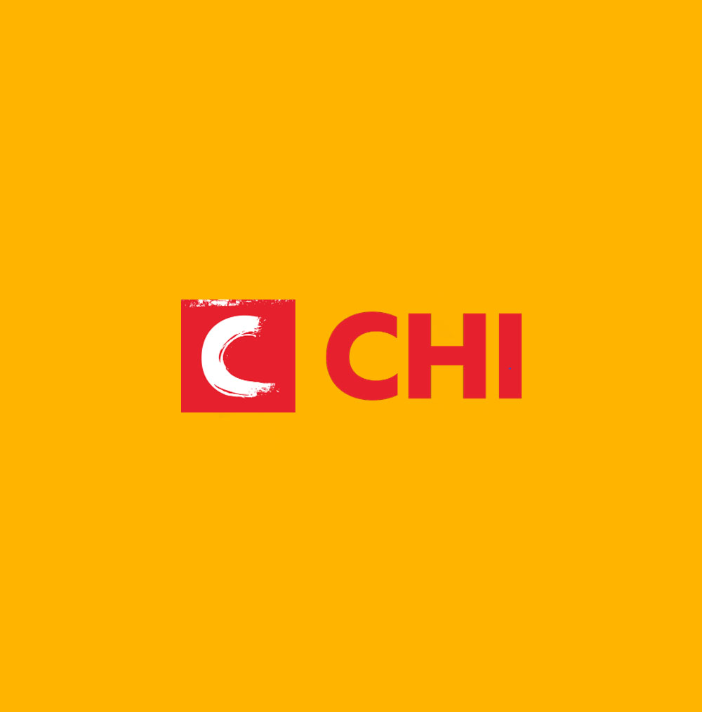 Бизнес проект CHI